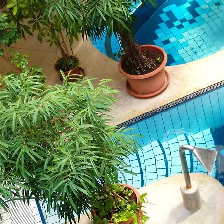 Apartment Tavirozsa Wellness