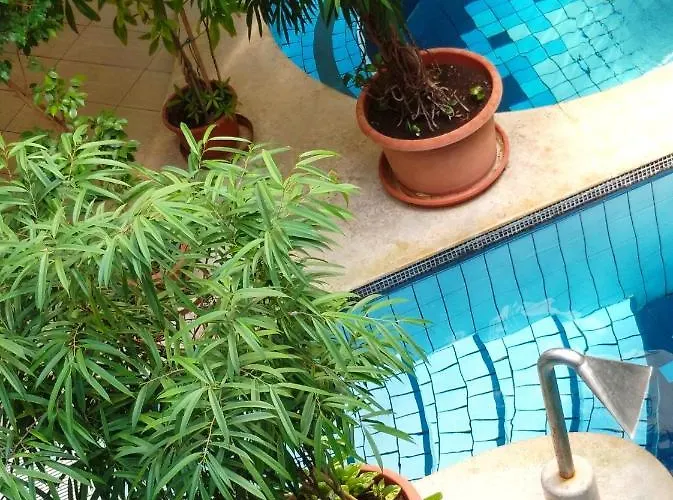 דירה Tavirozsa Wellness